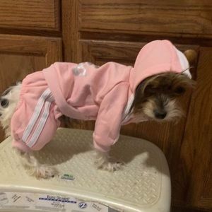 Meet your Posher, Joanne